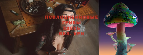 СК Алзамай